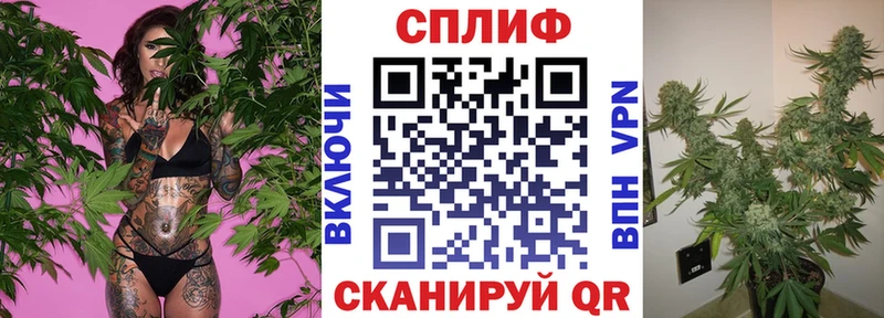 Конопля Amnesia  Жигулёвск 